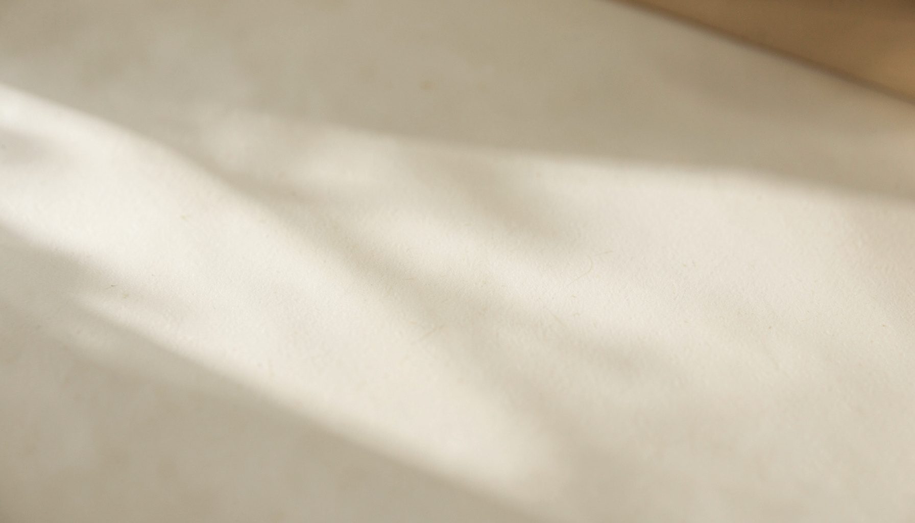 Soft natural light falling across a simple cream-colored surface with subtle earthy brown tones, calm and minimalist in mood.